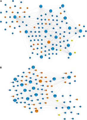 Aberrations in ion channels interacting with lipid metabolism and epithelial–mesenchymal transition in esophageal squamous cell carcinoma